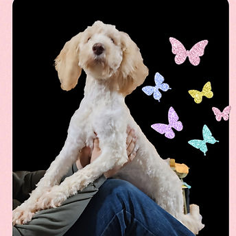 Collage_2025-08-13_14_52_57 (1).jpg