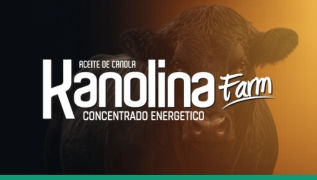 Kanolina Farm es un suplemento 100% natural a base de aceite de canola prensado en frío, formulado para aumentar la eficiencia reproductiva, optimizar el metabolismo y mejorar el rendimiento en animales de alto valor productivo.