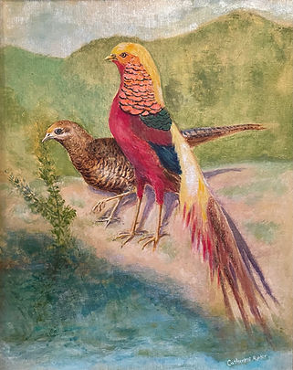 GoldenPheasantsBst9_4_21Edt.jpeg