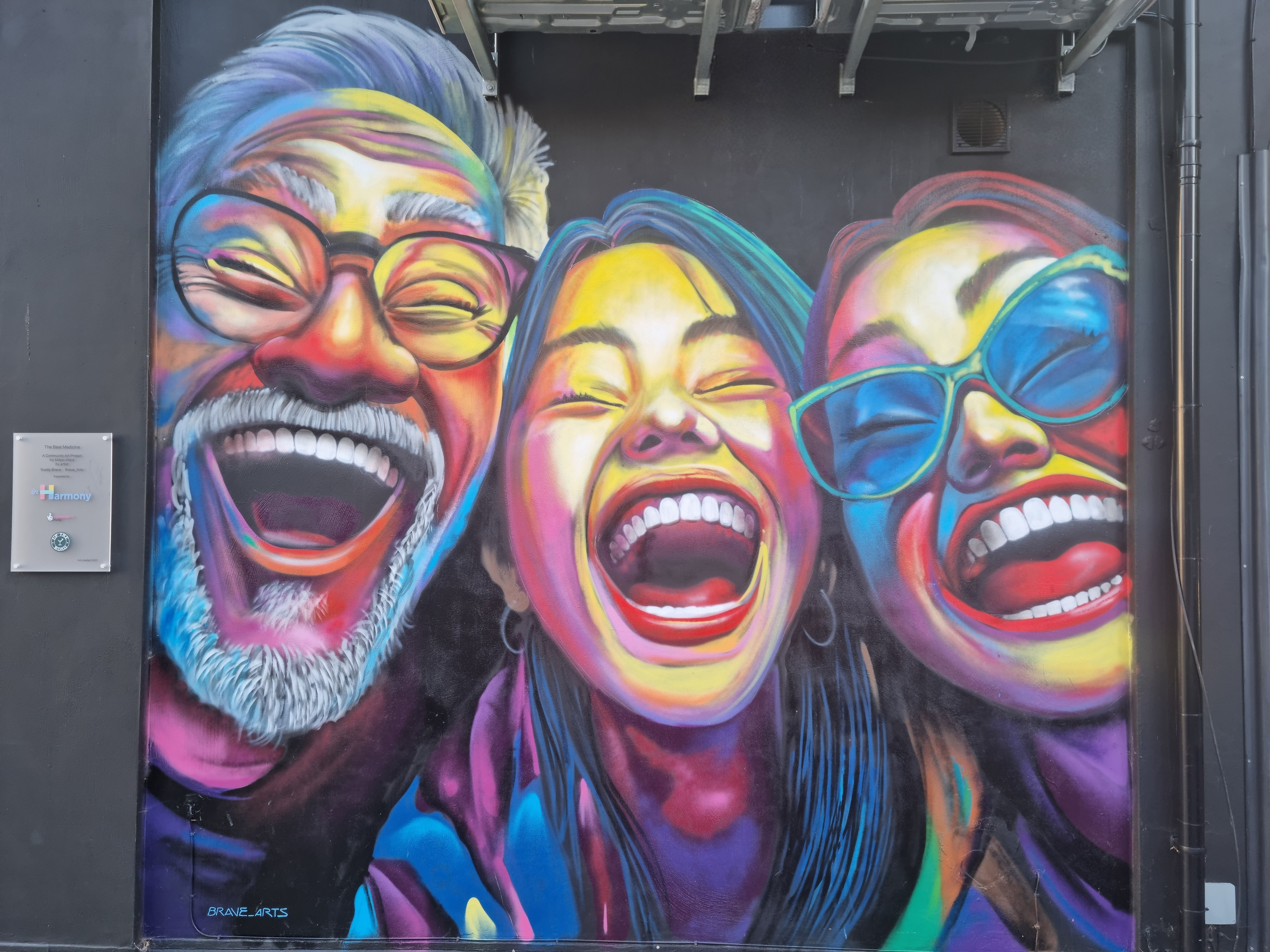 The best medicine street art. Select size