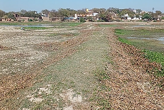 kauru_pond_before.png