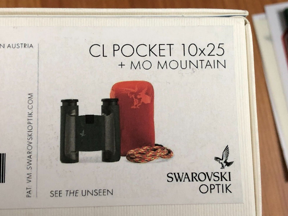 Miniaturbild: Swarovski CL poche 10x25 vert montagne