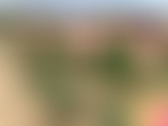 How about a quick drive to Holland?