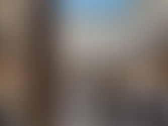 The Metropolitan Museum of Art