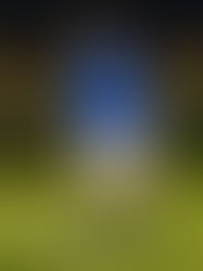 Matchday Gallery. City of Liverpool (A) 31/3/26