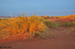Namibia