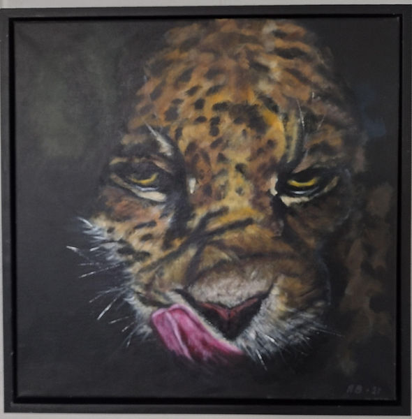 Leopard