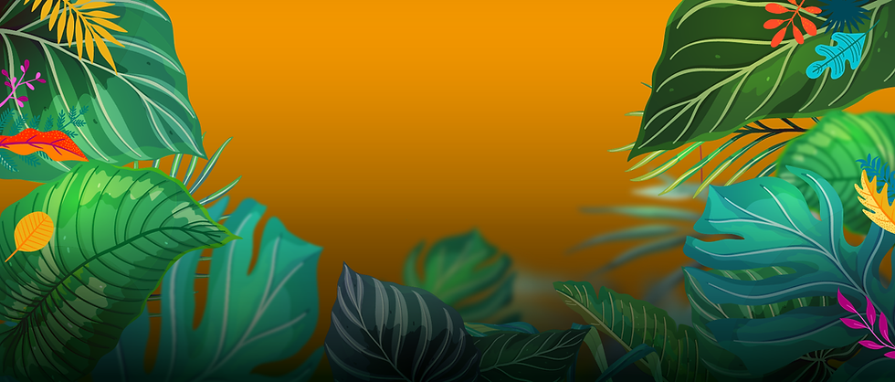 1920x818-01.png