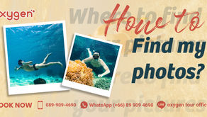 How to get your photo?