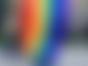 THE POLITICS OF ALLYSHIP