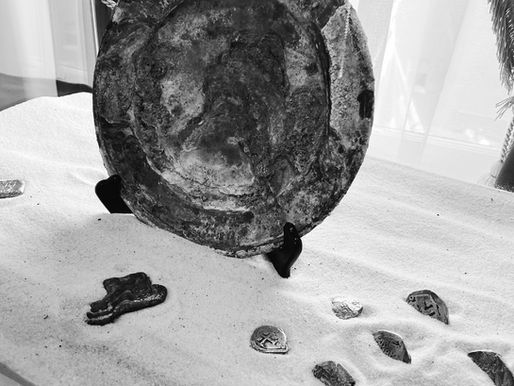 The Shipwreck Museum: When History Becomes Entertainment