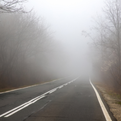 Foggy road disappearing into dense mist, flanked by bare trees. The scene is calm and mysterious, with muted colors and no visible text.