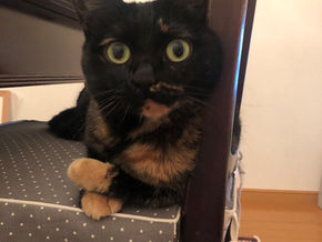 ジジちゃん♡