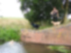 Dog Walker on the Taunton Canal throwing stick in the water for Labrador