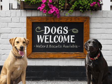 Dog Friendly Pubs & Restaurants in Taunton, Somerset.