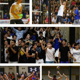 Leones defienden su casa