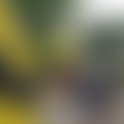 Regresan los "bondings" institucionales con la Clase 2026