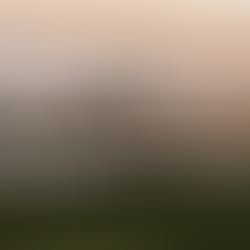 AEE y LUMA, ¿Privatización o APP?