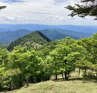 七面山の眺望