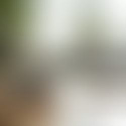 Creating Your Personal and Best Education