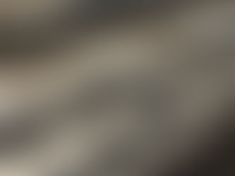 もうお皿のサイズ選びに迷わない!和食器と洋食器