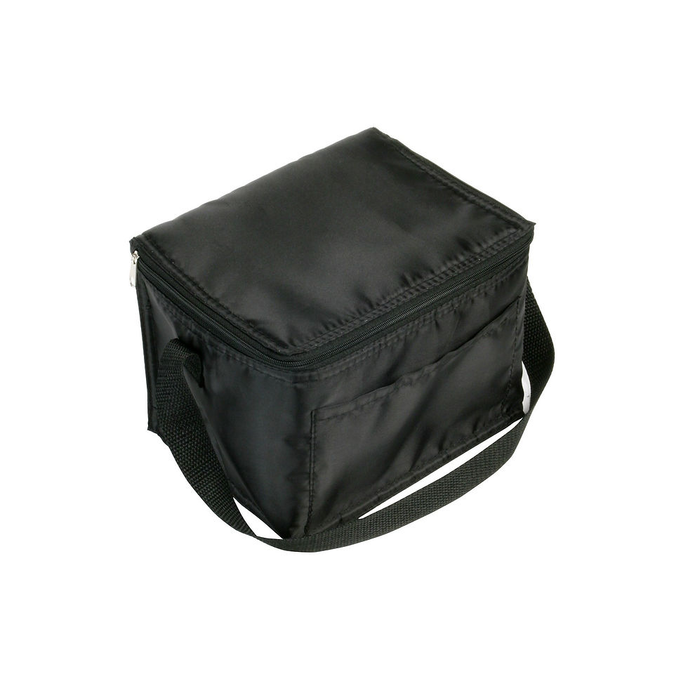 Thumbnail: Insulated 6-Pack Nylon Cooler Bag