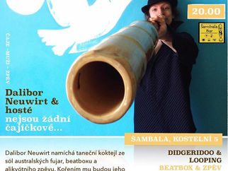 KONCERT: Ethno a Didgeridoo Dalibora Neuwirta (2.4. v Ostravě)