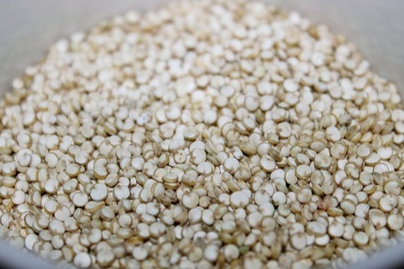 Quinoa