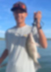 Sarasota Bay Snapper Fishing