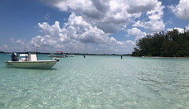 IMG_3104.jpeg