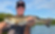 sarasota fishing charters .JPG