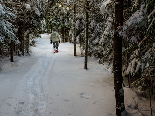 Parc des chutes d'Armagh