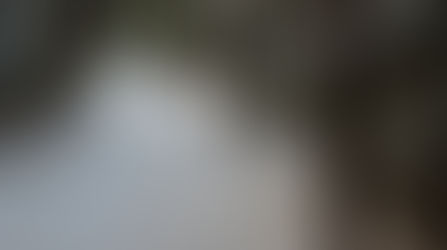 Parc des chutes d'Armagh