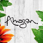 amazon chapecó santa catarina sc baladas casas noturnas