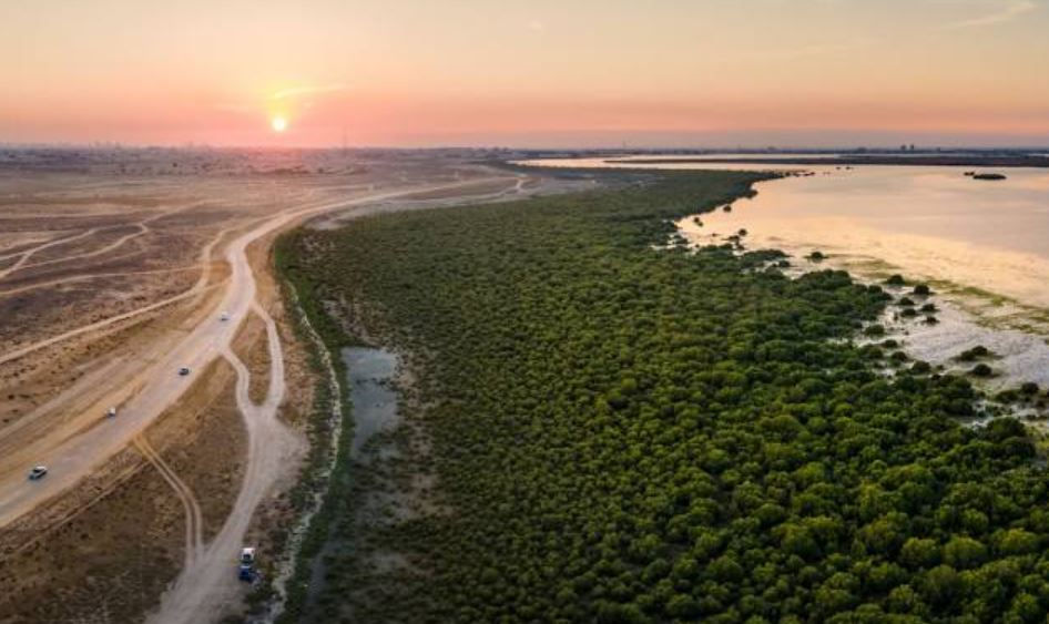 Historical Importance of Umm Ul Quwain UAE