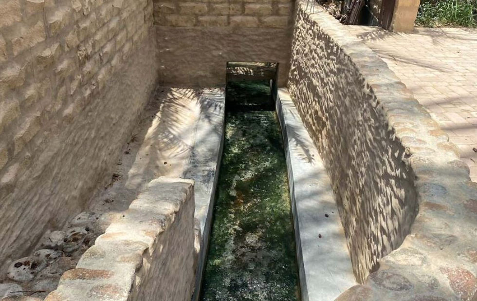 The Falaj (water channel) system in Umm Al Quwain UAE