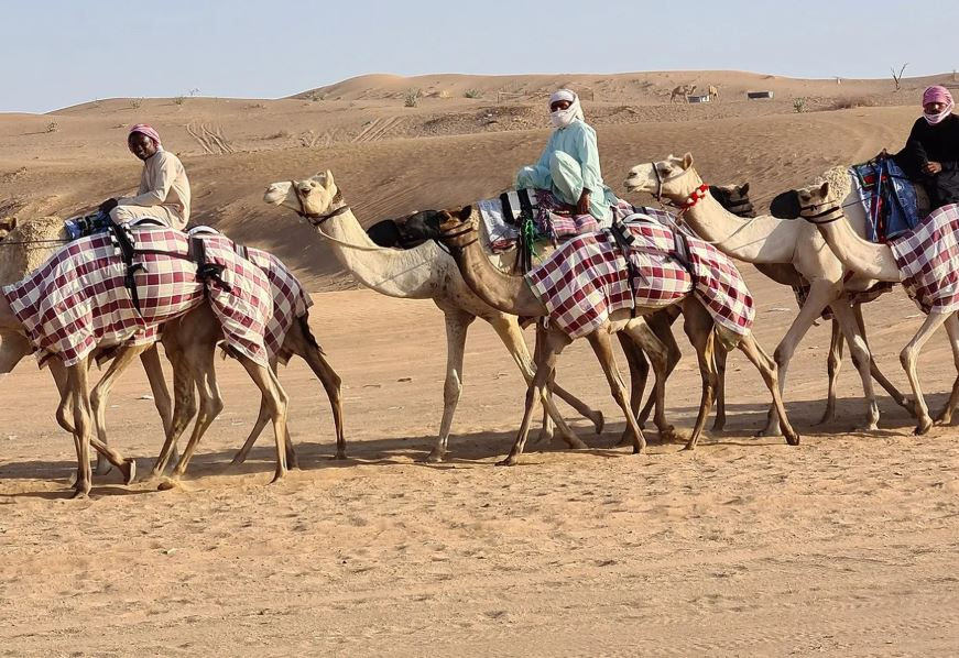Al Labsah Camel Racing Track Umm al Qawain