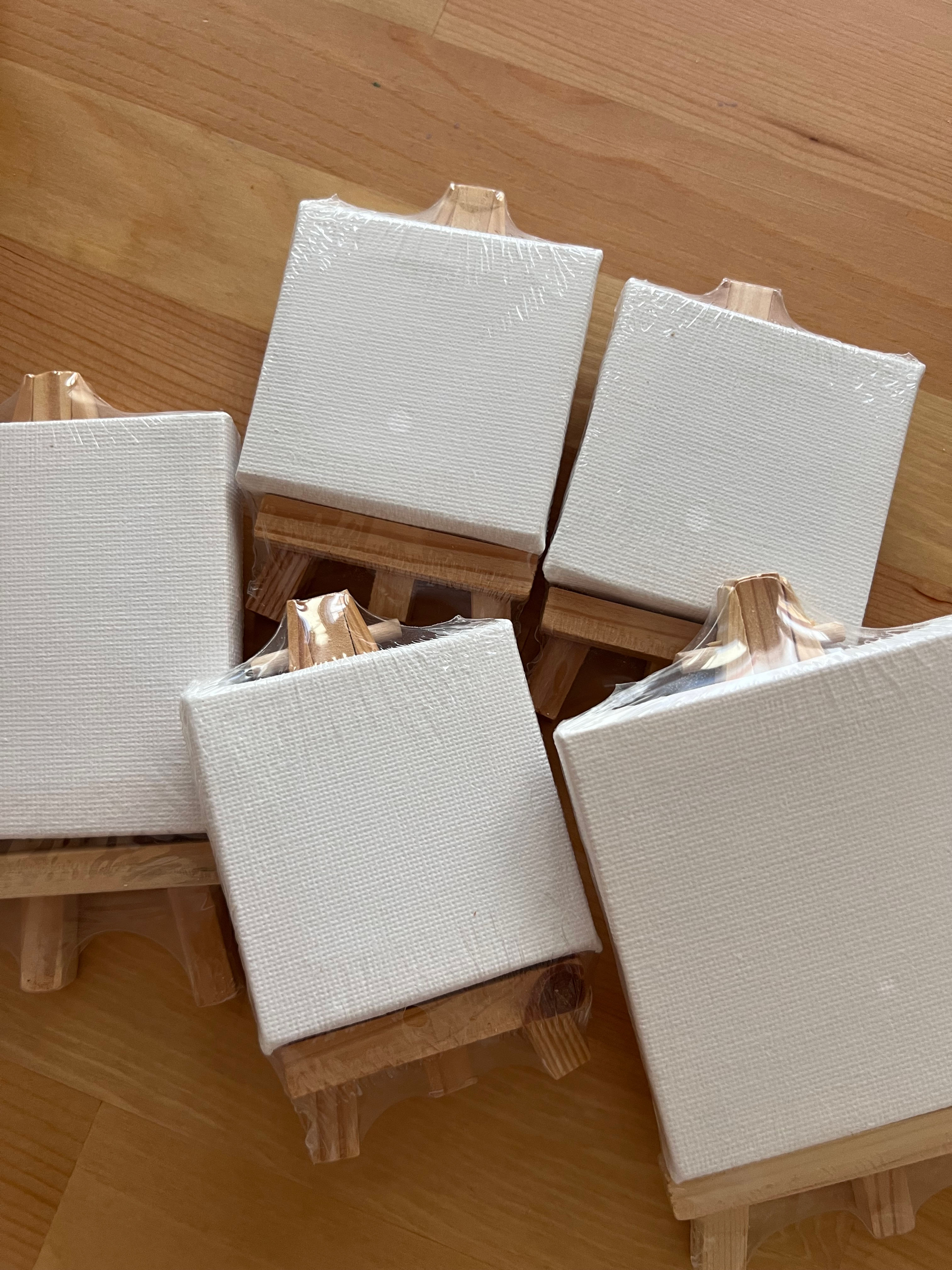 Mini lienzo en BLANCO para pintar