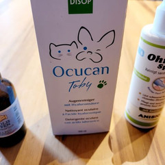 Propolis ist entzündungshemmend, Ohren- & Augenspülung ist sinnvoll bei Reisen ans Meer