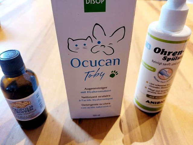Propolis ist entzündungshemmend, Ohren- & Augenspülung ist sinnvoll bei Reisen ans Meer