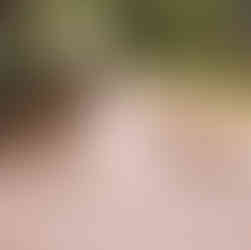 Sonst kann nämlich das Entstehen - Aggression und/oder Abwehrverhalten