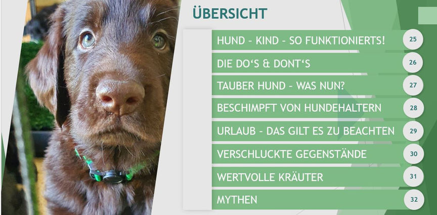 Hund-Kind, tauber Hund was nun, die DO's and DONT's