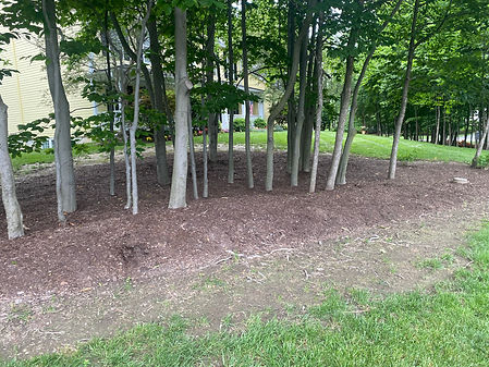 image5 (1).jpeg