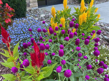 Flower Garden