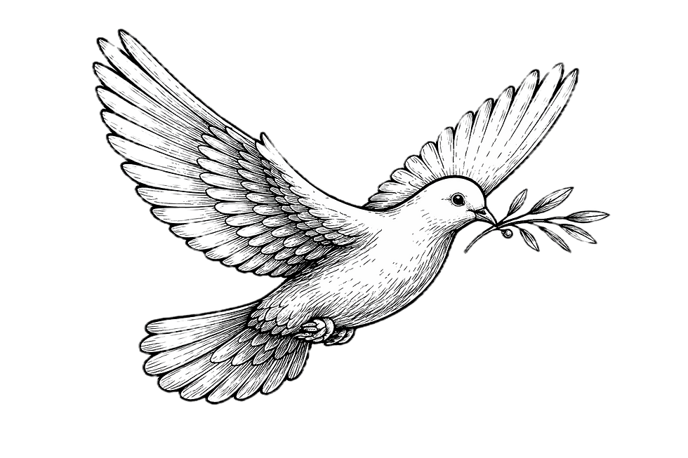 DoveInkIllustration_edited.png