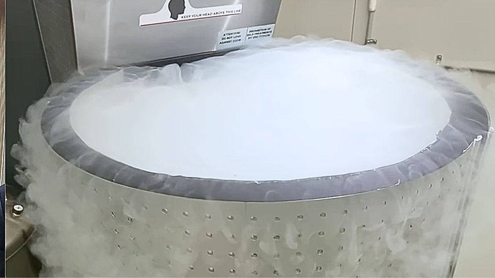 Whole Body Cryotherapy Chamber