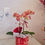 Thumbnail: 蜜橙 Sweet orange Phalaenopsis Orchid (2 stalks)
