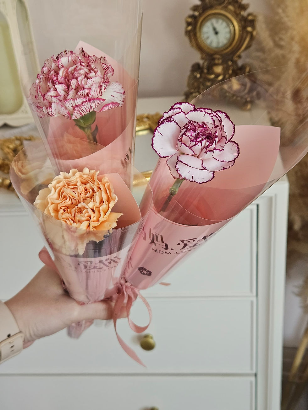 Thumbnail: Single Carnation