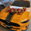 Thumbnail: Wing Decoration Rental