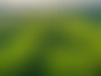 In the Midst of Chaos: How God's Intervention Brought Unexpected Relief and a New Chapter in My Life